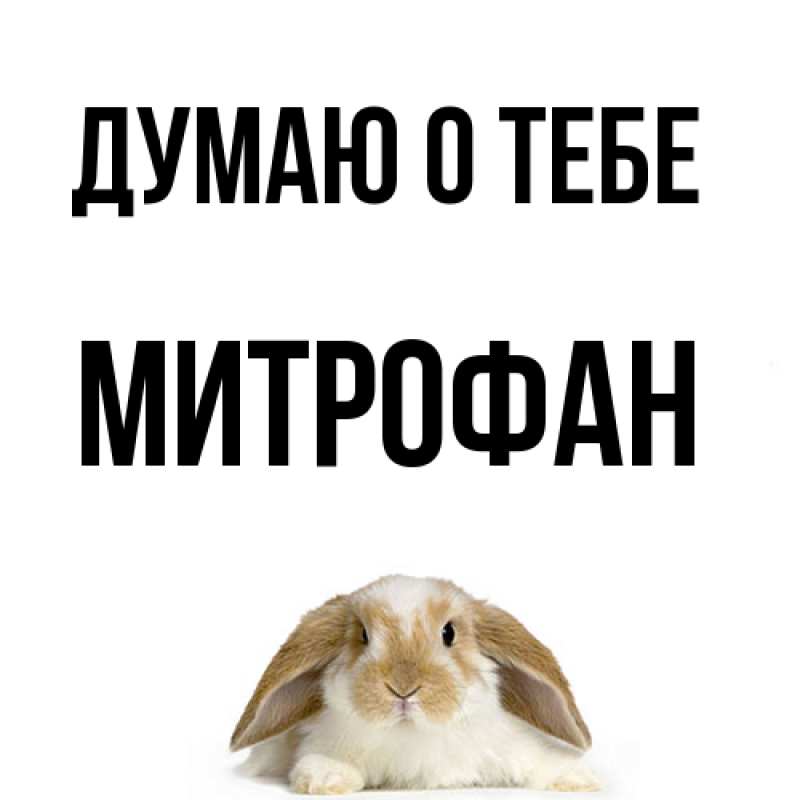 Картинка Думаю о тебе, Митрофан