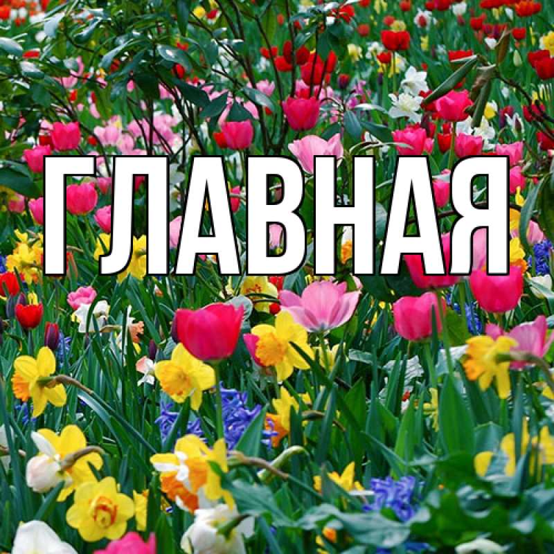 Картинка  с именем , настя