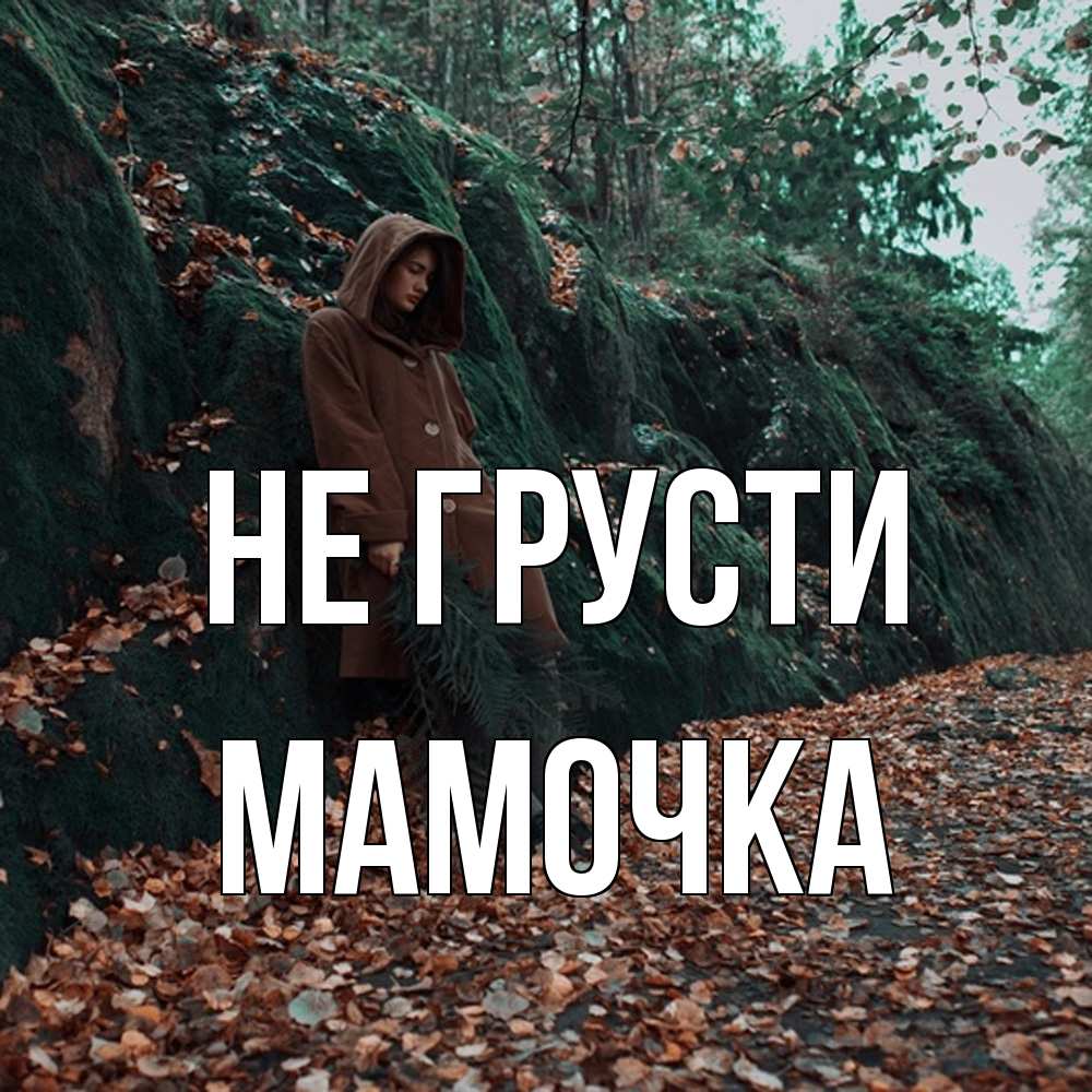 Открытка на каждый день с именем, Мамочка Не грусти осенний лес Прикольная открытка с пожеланием онлайн скачать бесплатно 