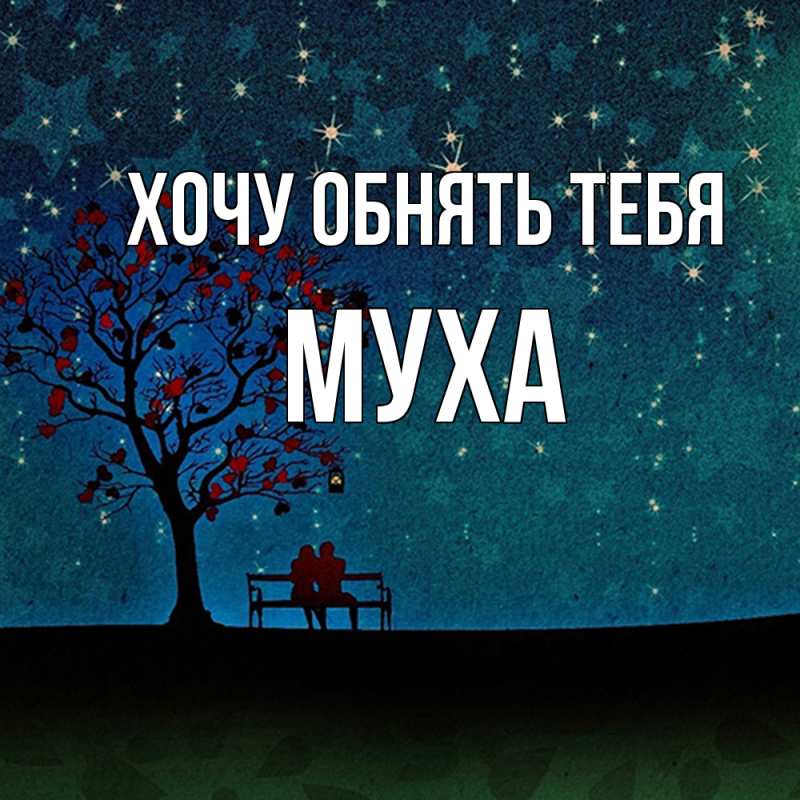 Картинка Хочу обнять тебя, Муха