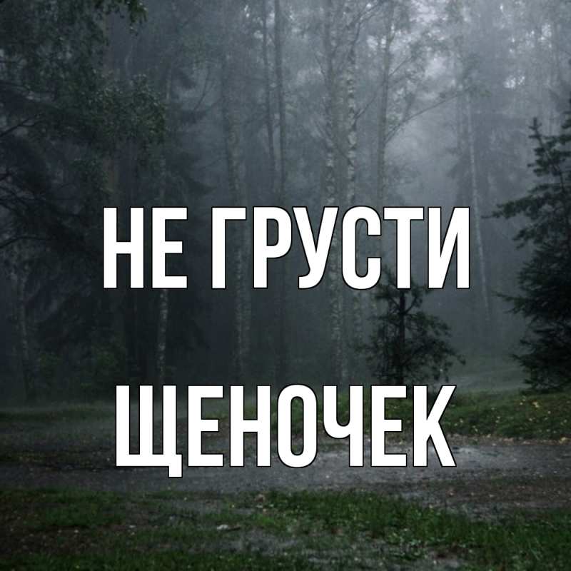 Картинка Не грусти, Щеночек