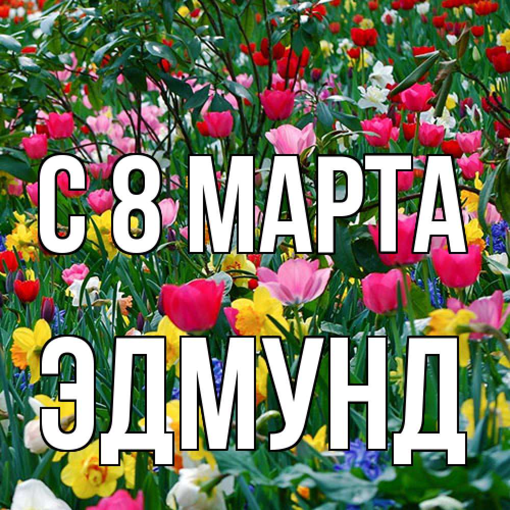 Открытка на каждый день с именем, Эдмунд C 8 МАРТА с международным женским днем поздравления для женщины Прикольная открытка с пожеланием онлайн скачать бесплатно 