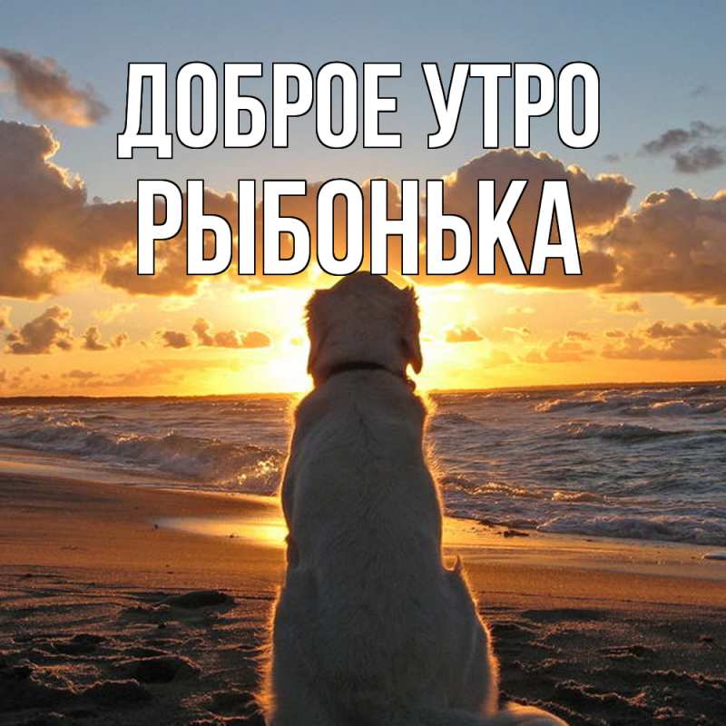 Картинка Доброе утро, Рыбонька