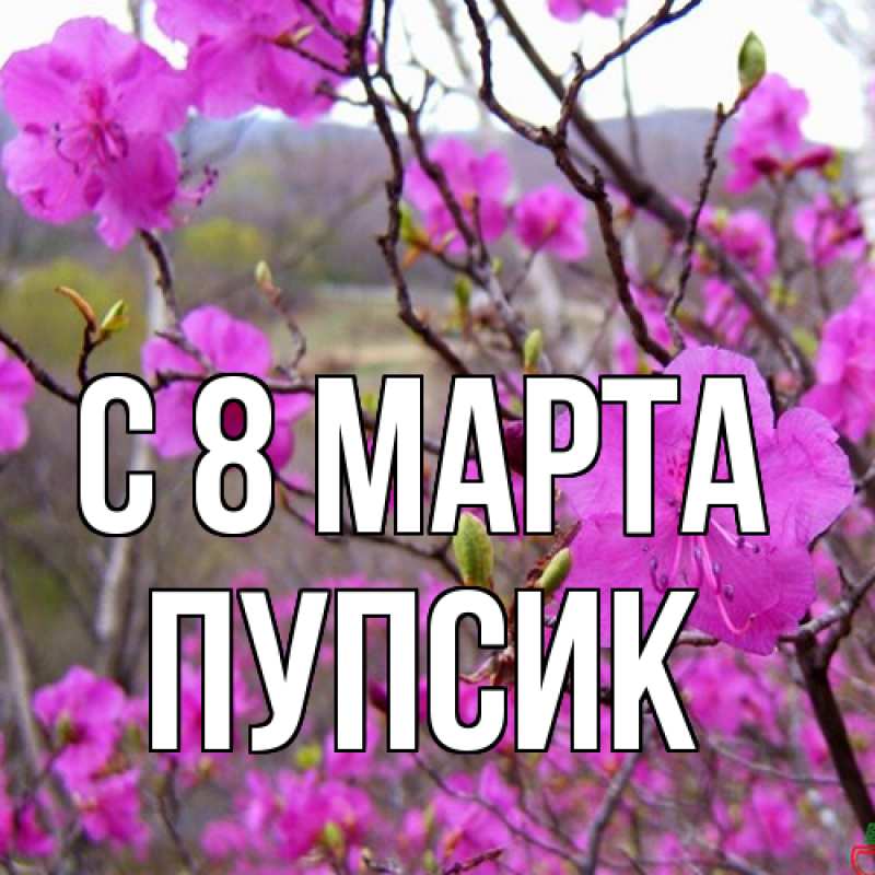 Картинка C 8 МАРТА, пупсик
