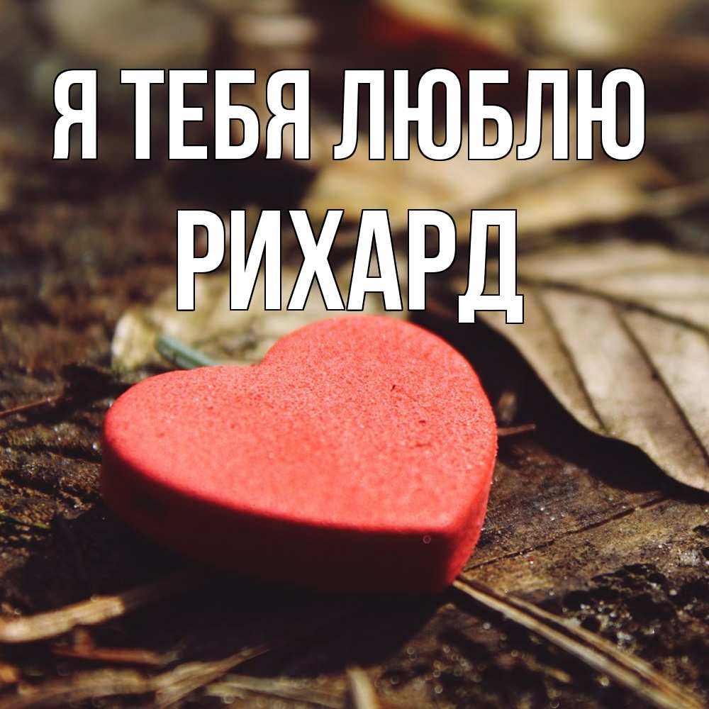Открытка на каждый день с именем, Рихард Я тебя люблю листья деревье 4 Прикольная открытка с пожеланием онлайн скачать бесплатно 