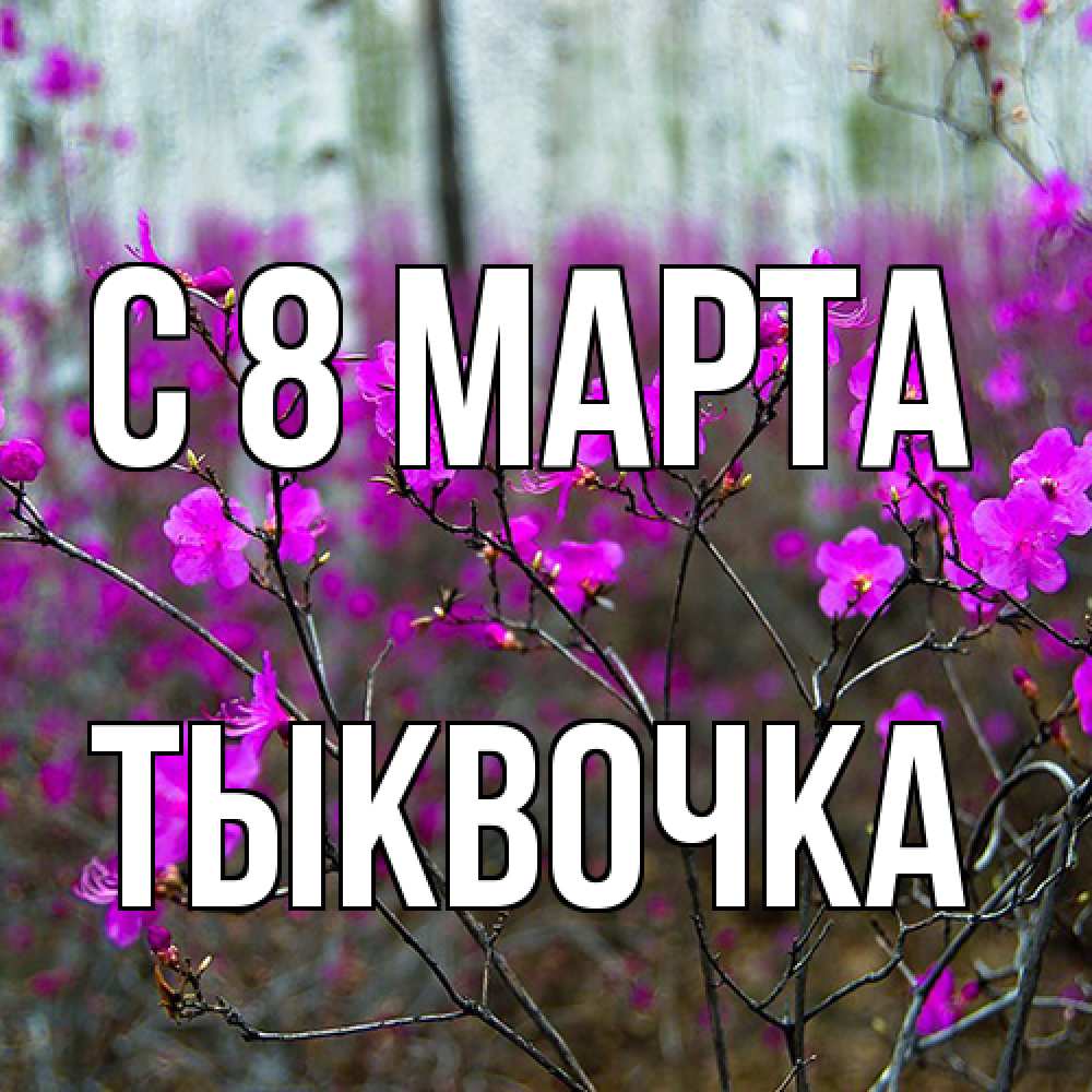 Открытка на каждый день с именем, тыквочка C 8 МАРТА дикие цветы Прикольная открытка с пожеланием онлайн скачать бесплатно 