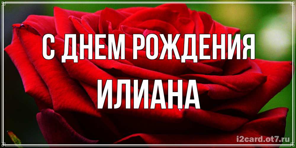 Открытка на каждый день с именем, Илиана С днем рождения розочка очень красивая Прикольная открытка с пожеланием онлайн скачать бесплатно 