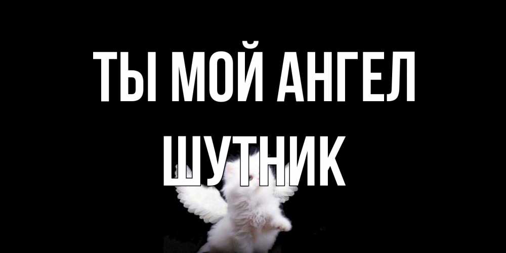 Открытка на каждый день с именем, Шутник Ты мой ангел Кот ангел Прикольная открытка с пожеланием онлайн скачать бесплатно 