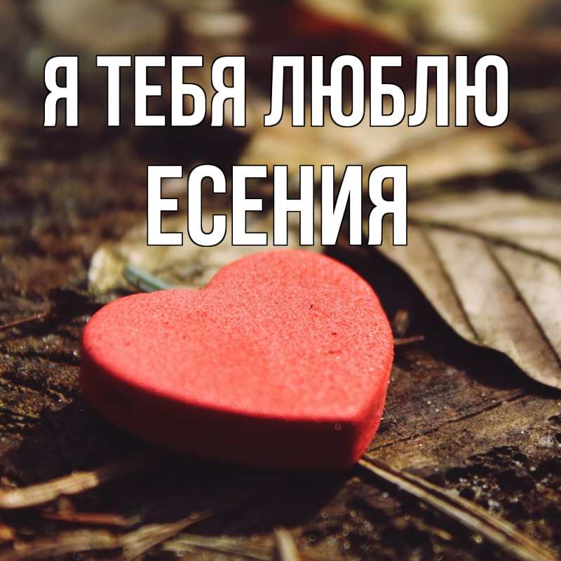 Картинка Я тебя люблю, Есения