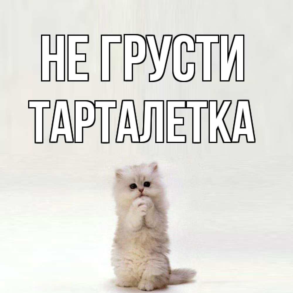 Открытка на каждый день с именем, Тарталетка Не грусти грустный кот Прикольная открытка с пожеланием онлайн скачать бесплатно 