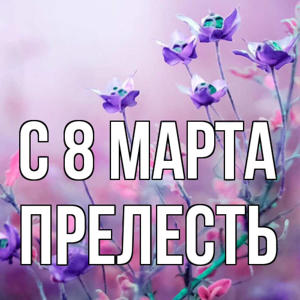 Открытка на каждый день с именем, прелесть C 8 МАРТА международный женский день 2 Прикольная открытка с пожеланием онлайн скачать бесплатно 