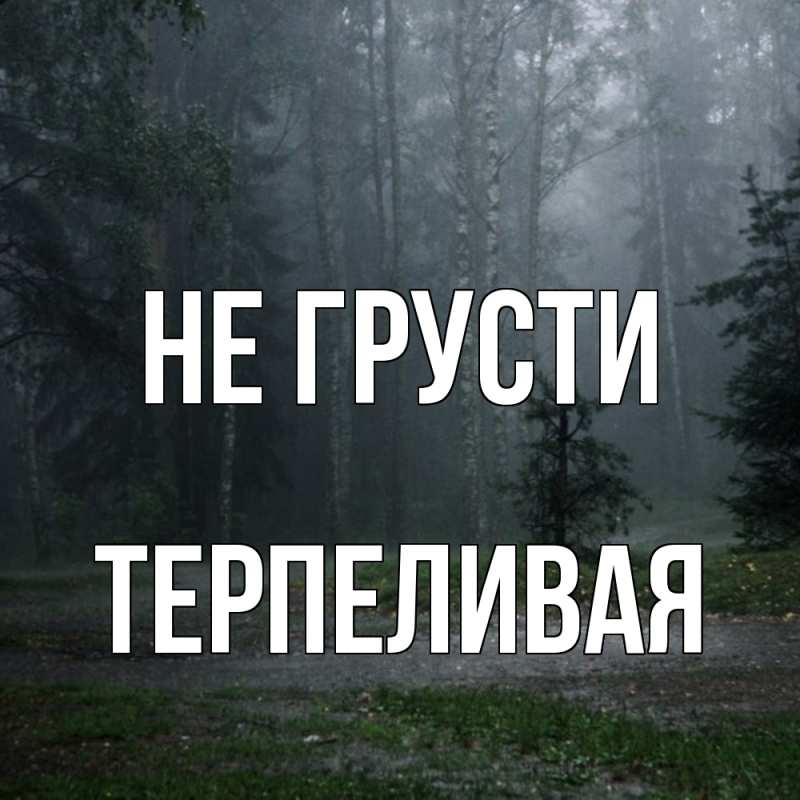 Картинка Не грусти, терпеливая