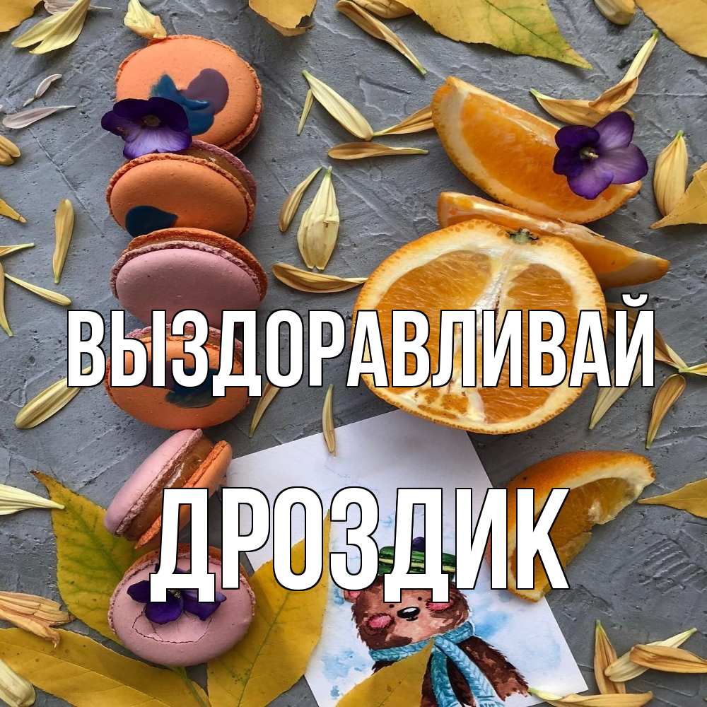 Открытка на каждый день с именем, Дроздик Выздоравливай не болейте Прикольная открытка с пожеланием онлайн скачать бесплатно 