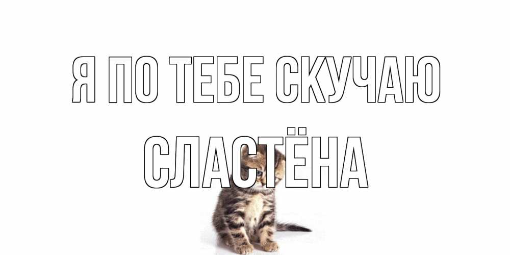 Открытка на каждый день с именем, сластёна Я по тебе скучаю кот Прикольная открытка с пожеланием онлайн скачать бесплатно 