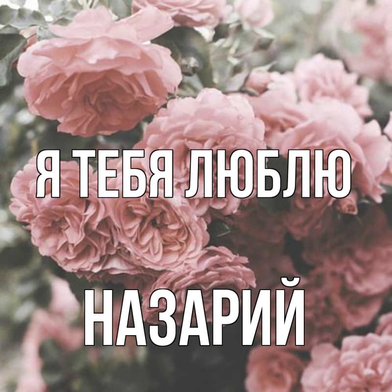 Картинка Я тебя люблю, Назарий