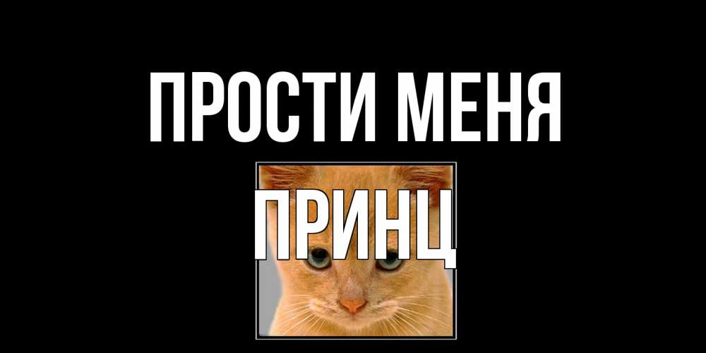 Открытка на каждый день с именем, Принц Прости меня рыжий грустный кот просит прощения Прикольная открытка с пожеланием онлайн скачать бесплатно 