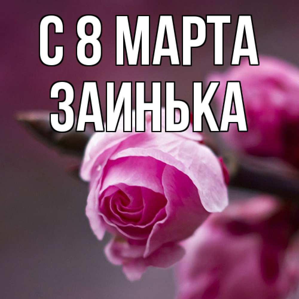 Открытка на каждый день с именем, Заинька C 8 МАРТА весна Прикольная открытка с пожеланием онлайн скачать бесплатно 