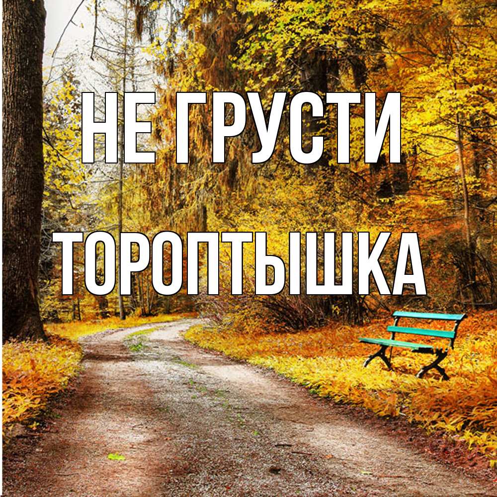 Открытка на каждый день с именем, Тороптышка Не грусти зеленая лавочка Прикольная открытка с пожеланием онлайн скачать бесплатно 