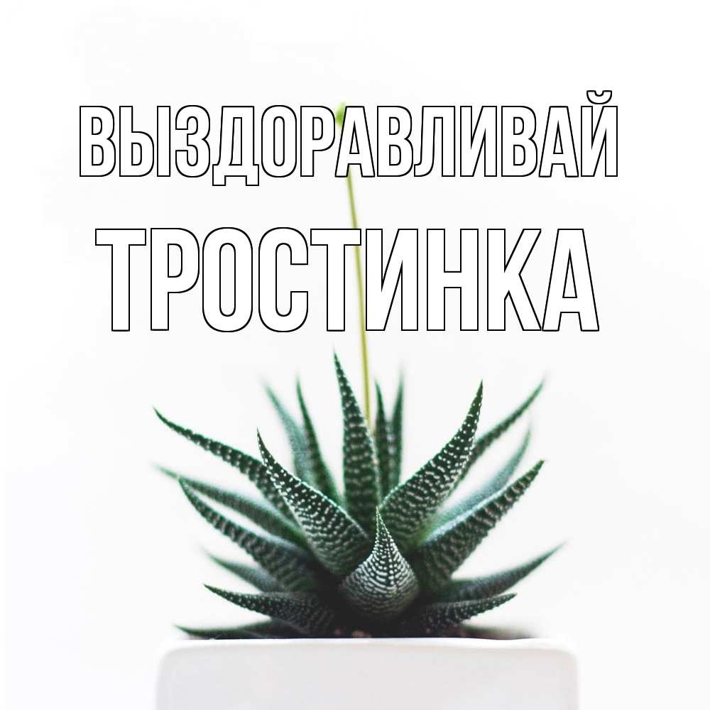Открытка на каждый день с именем, Тростинка Выздоравливай короче это непонятная колючка Прикольная открытка с пожеланием онлайн скачать бесплатно 
