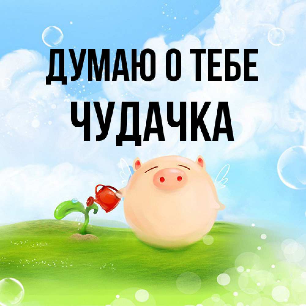 Открытка на каждый день с именем, Чудачка Думаю о тебе позитивная свинюшка Прикольная открытка с пожеланием онлайн скачать бесплатно 