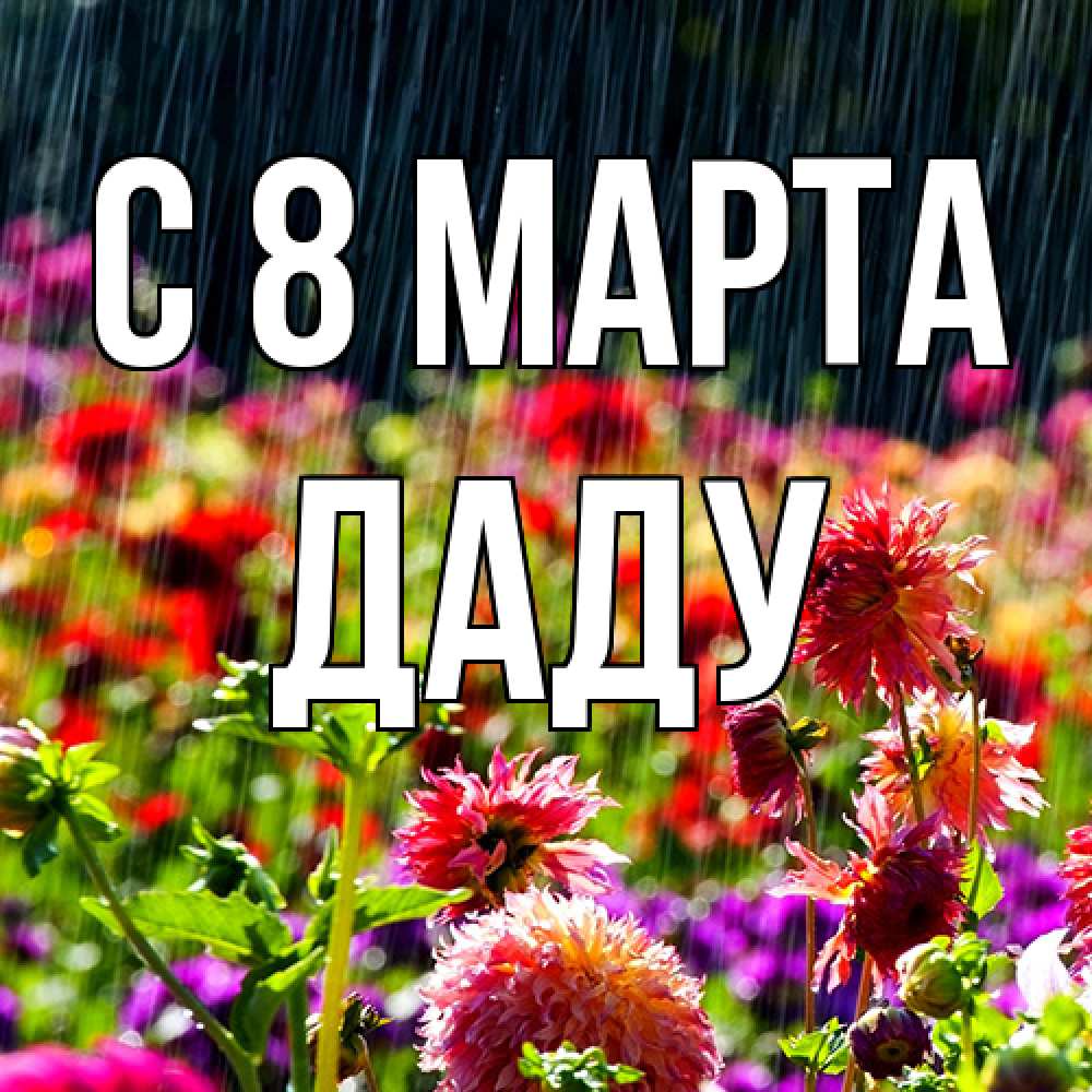 Открытка на каждый день с именем, Даду C 8 МАРТА цветы под дождиком к международному женскому дню Прикольная открытка с пожеланием онлайн скачать бесплатно 