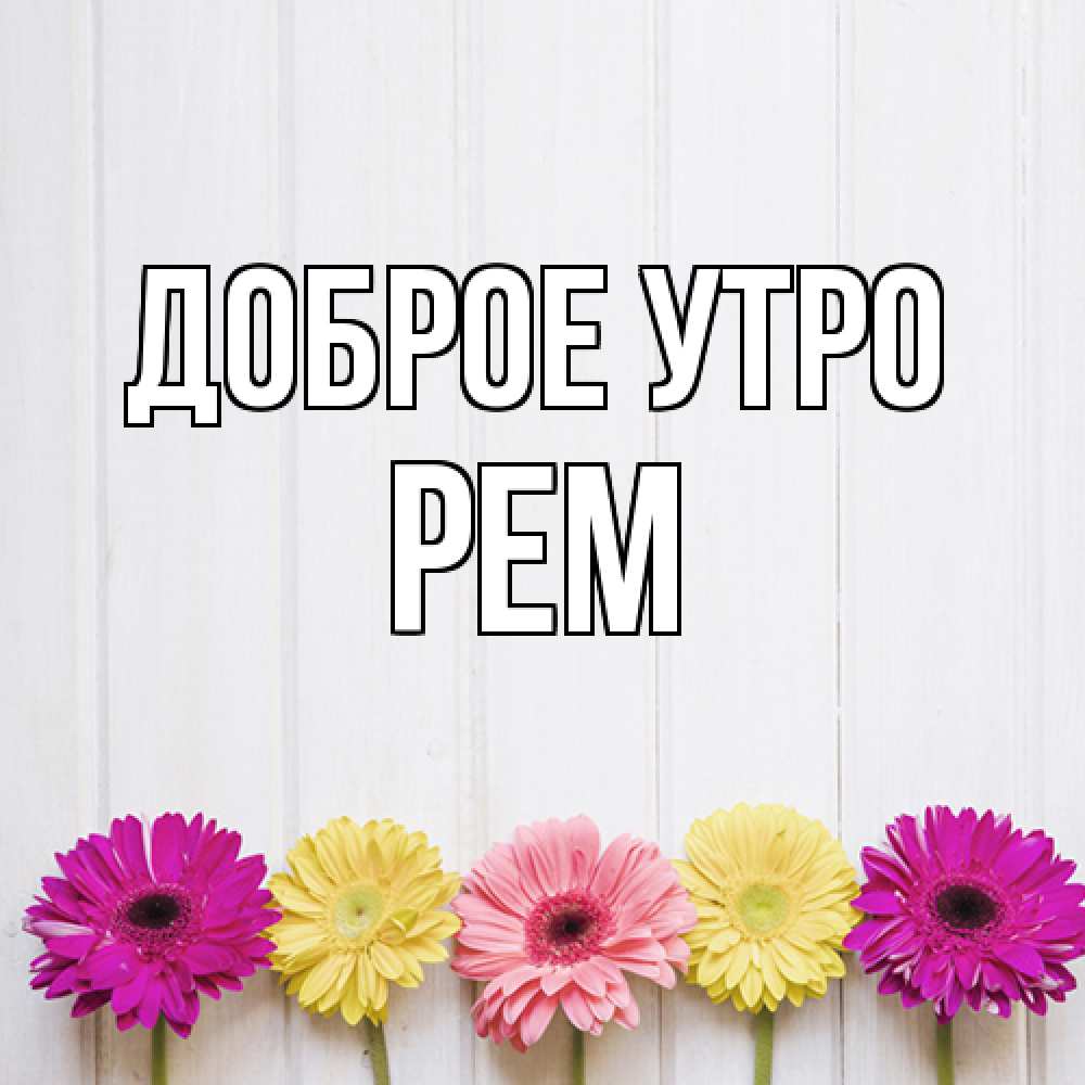 Открытка на каждый день с именем, Рем Доброе утро красный желтый и розовый цветок Прикольная открытка с пожеланием онлайн скачать бесплатно 