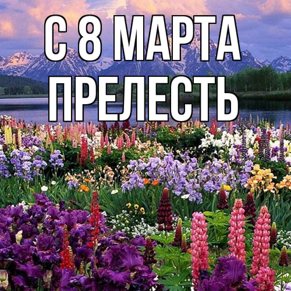 Открытка на каждый день с именем, прелесть C 8 МАРТА международный женский день Прикольная открытка с пожеланием онлайн скачать бесплатно 