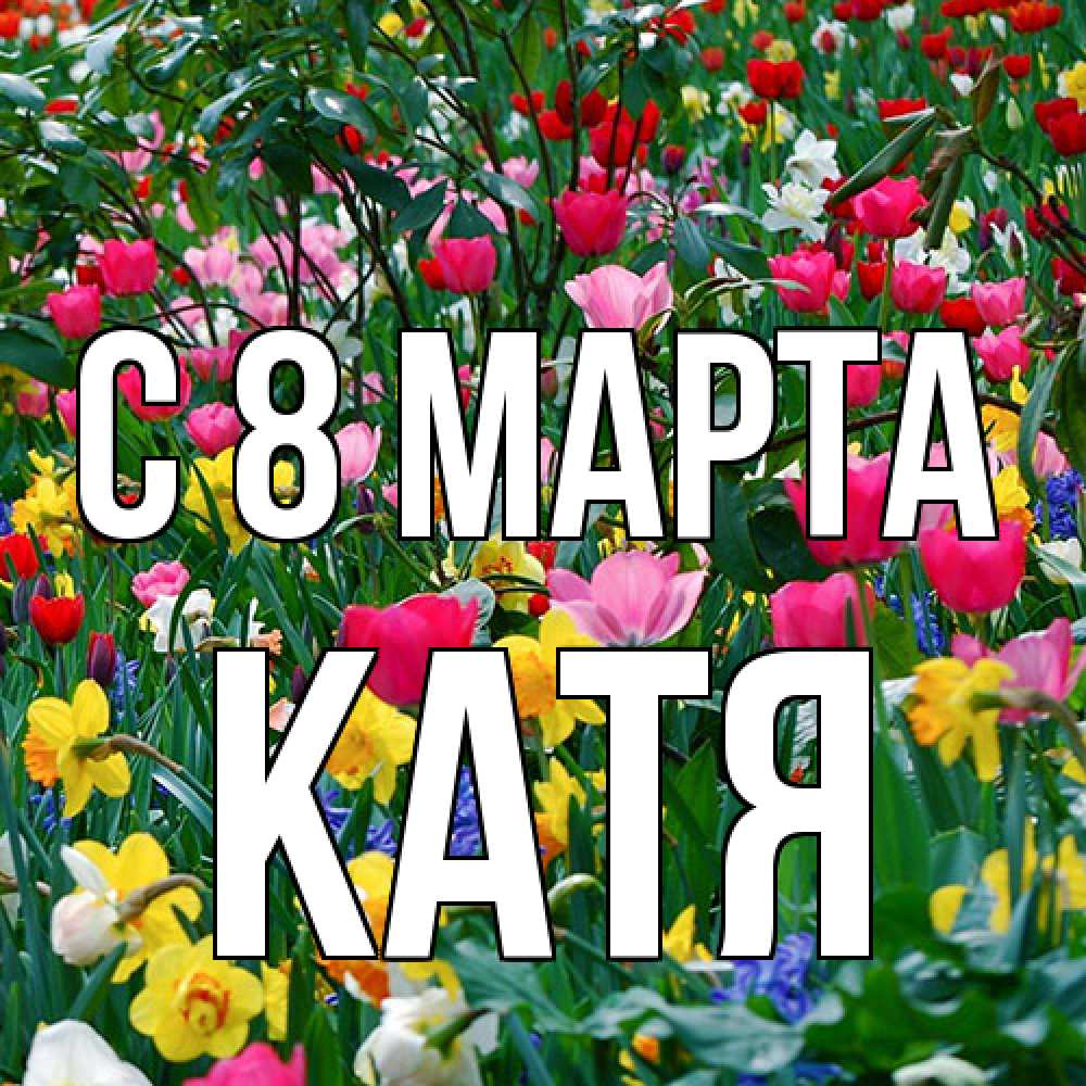 Открытка на каждый день с именем, Катя C 8 МАРТА с международным женским днем поздравления для женщины Прикольная открытка с пожеланием онлайн скачать бесплатно 