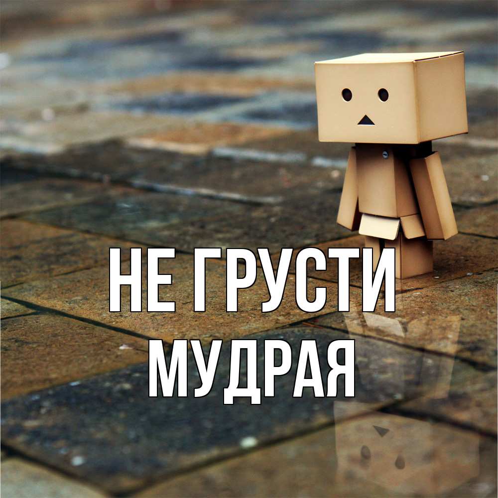 Открытка на каждый день с именем, Мудpая Не грусти Стив Прикольная открытка с пожеланием онлайн скачать бесплатно 