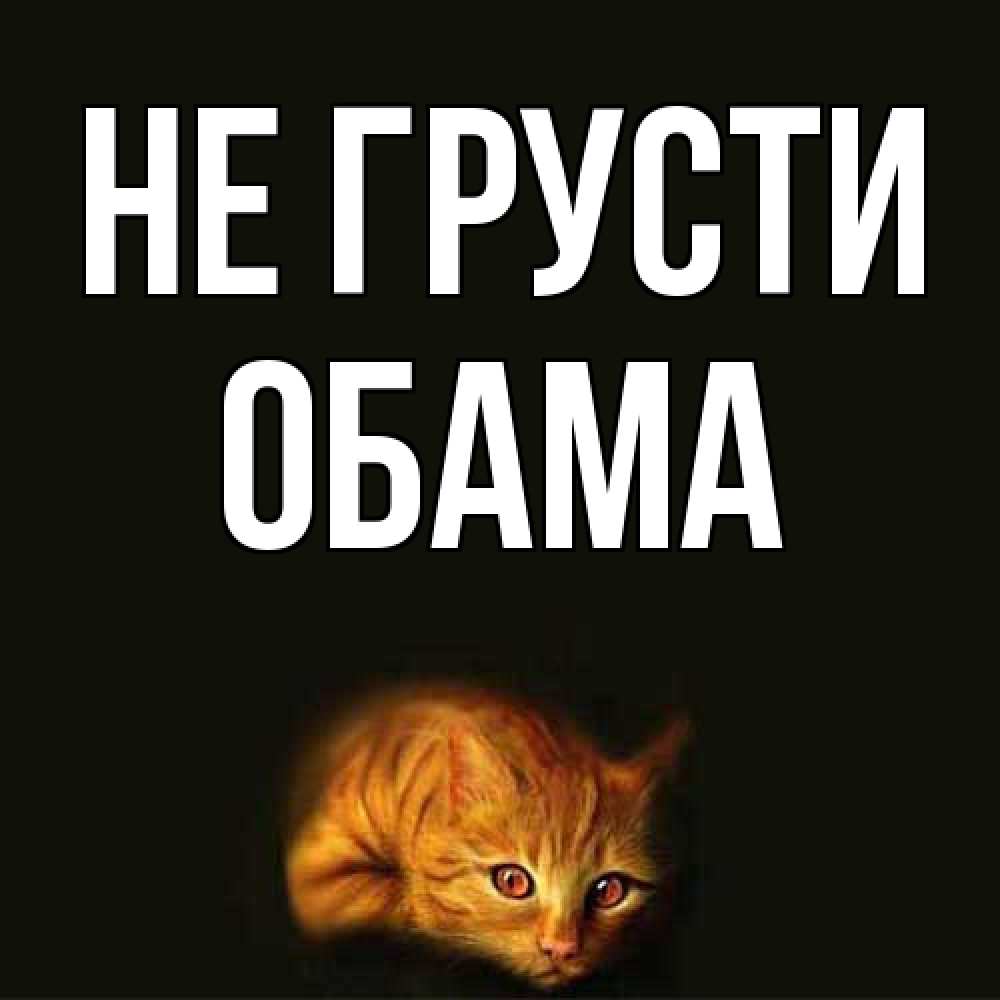 Открытка на каждый день с именем, Обама Не грусти лежащий кот в темноте Прикольная открытка с пожеланием онлайн скачать бесплатно 