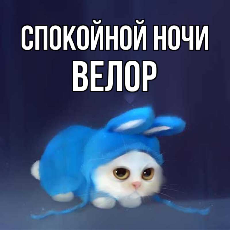 Картинка Спокойной ночи, Велор