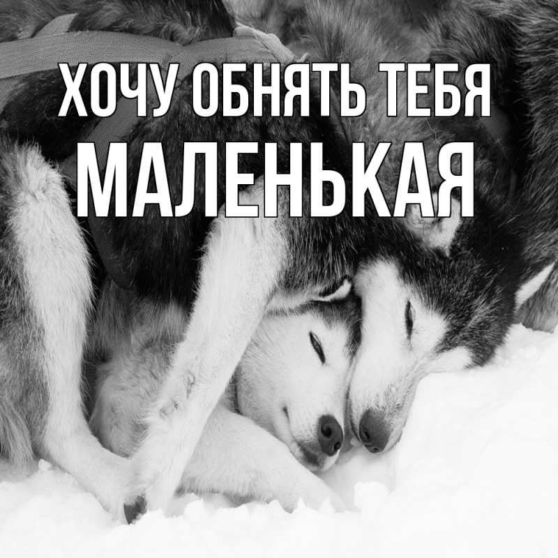 Картинка Хочу обнять тебя, Маленькая