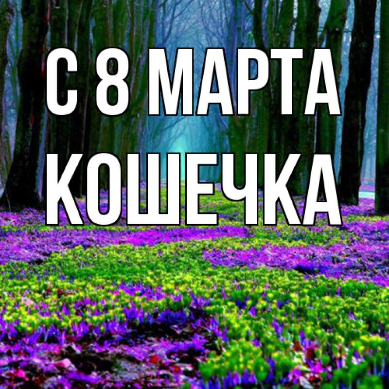 Картинка C 8 МАРТА, кошечка