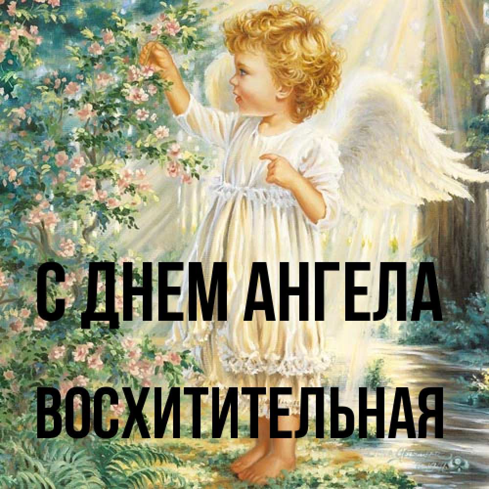 Открытка на каждый день с именем, восхитительная С днем ангела собирает цветы Прикольная открытка с пожеланием онлайн скачать бесплатно 