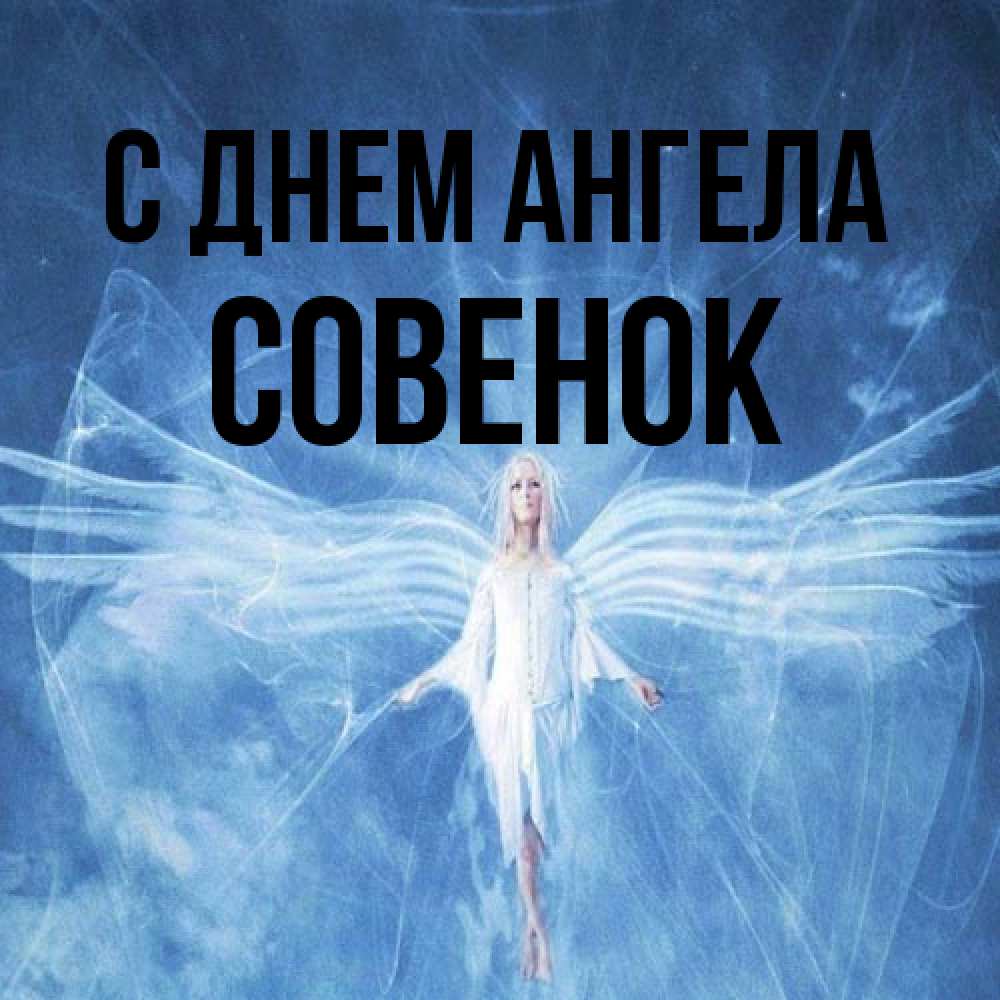 Открытка на каждый день с именем, совенок С днем ангела голубой фон и крылья как у стрекозы Прикольная открытка с пожеланием онлайн скачать бесплатно 