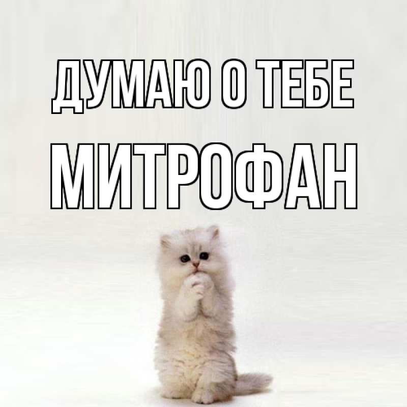 Картинка Думаю о тебе, Митрофан