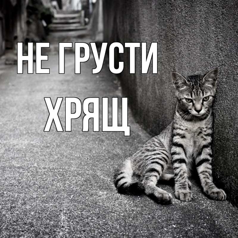 Картинка Не грусти, Хрящ