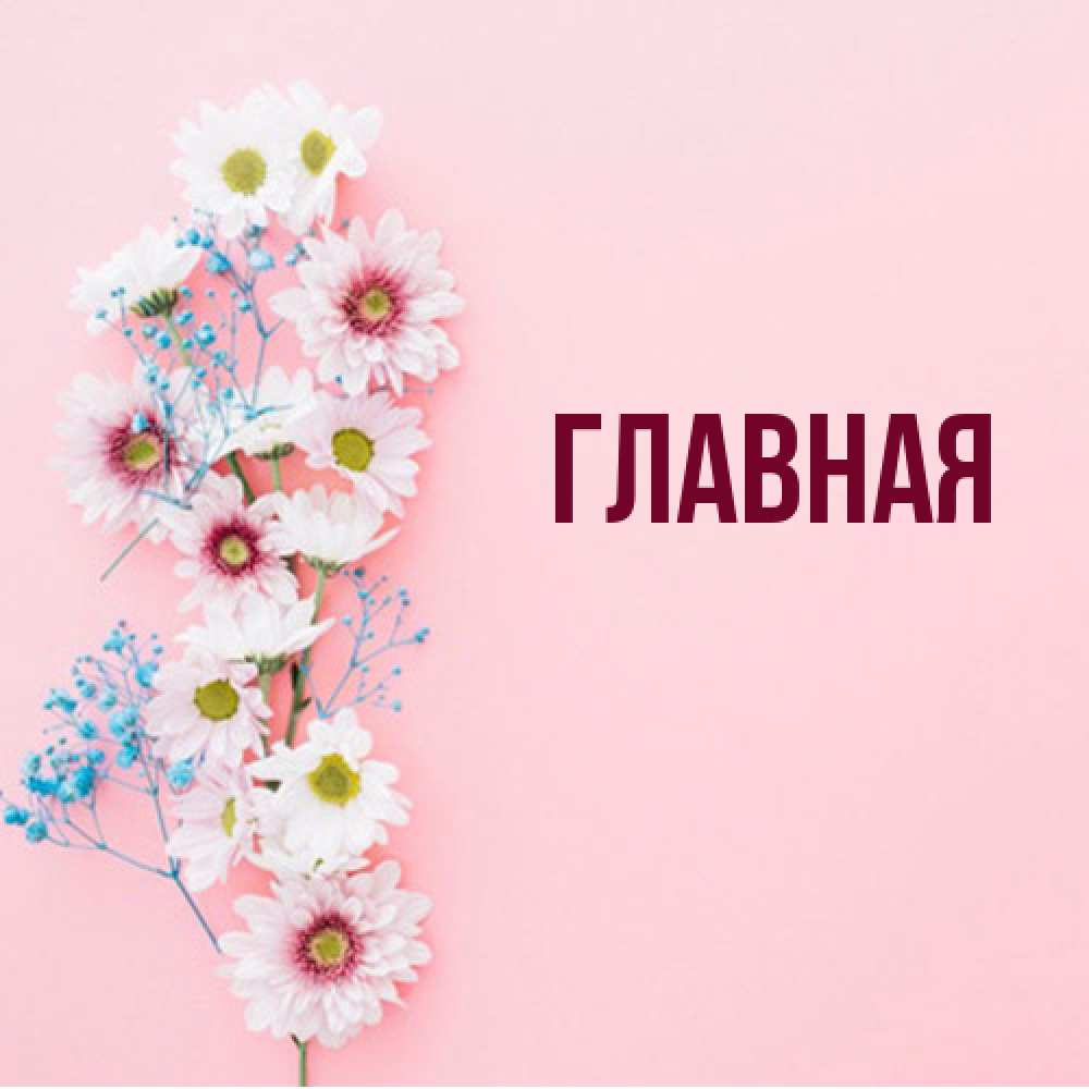 Открытка на каждый день с именем, настя Главная Родная моя с днем рождения тебя картинка с цветами белыми и голубыми Прикольная открытка с пожеланием онлайн скачать бесплатно 