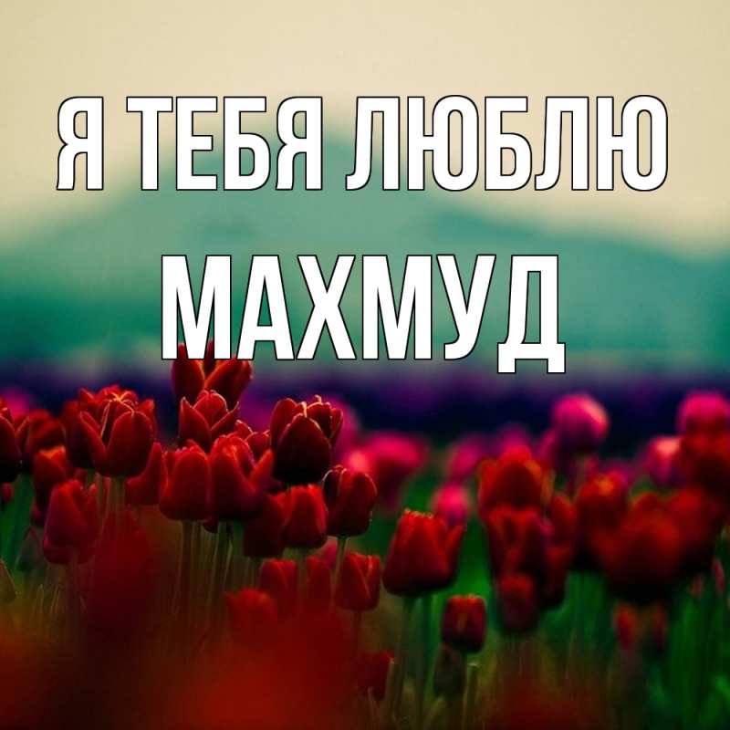 Открытка с именем, Махмуд, Я тебя люблю