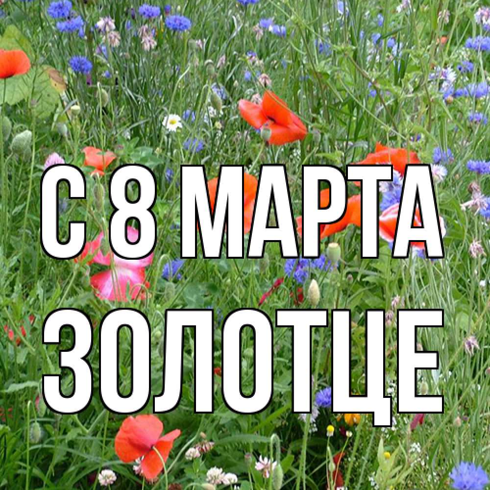 Открытка на каждый день с именем, Золотце C 8 МАРТА международный женский день 4 Прикольная открытка с пожеланием онлайн скачать бесплатно 