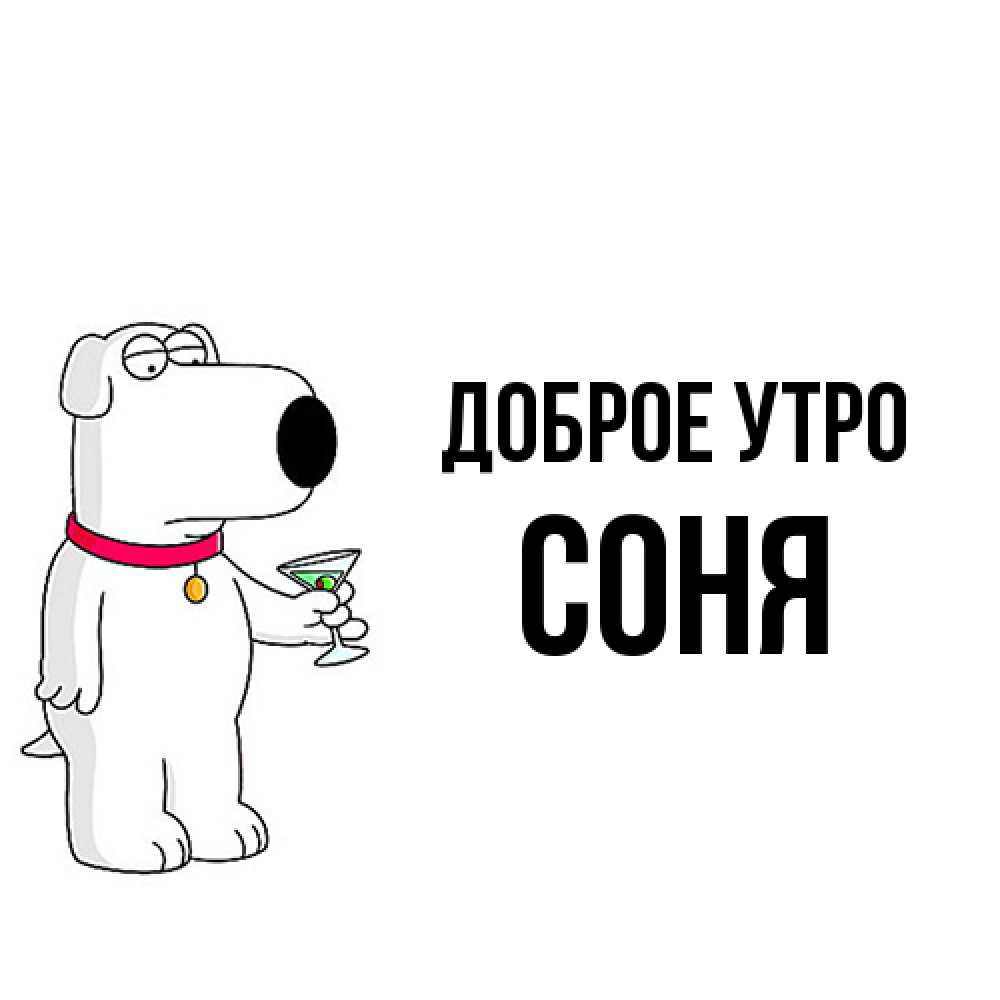 Открытка на каждый день с именем, Соня Доброе утро герои мультфильмов белый пес Прикольная открытка с пожеланием онлайн скачать бесплатно 