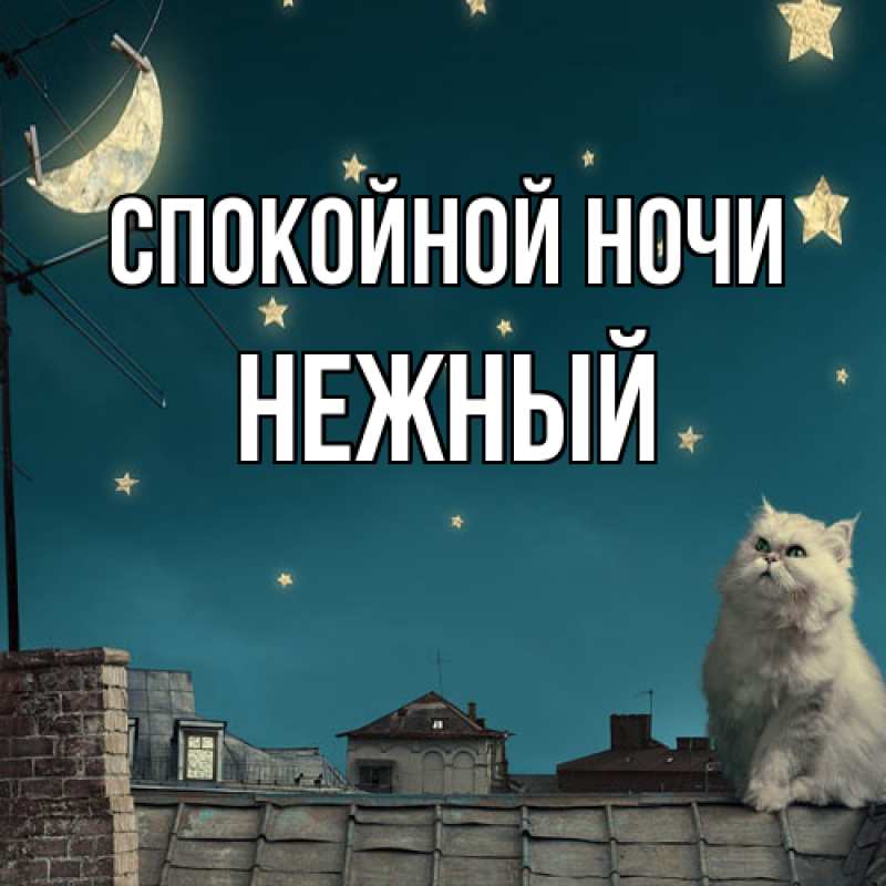 Картинка Спокойной ночи, Нежный
