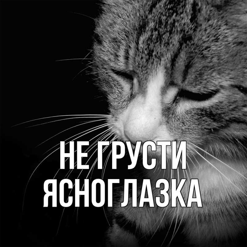Картинка Не грусти, ясноглазка