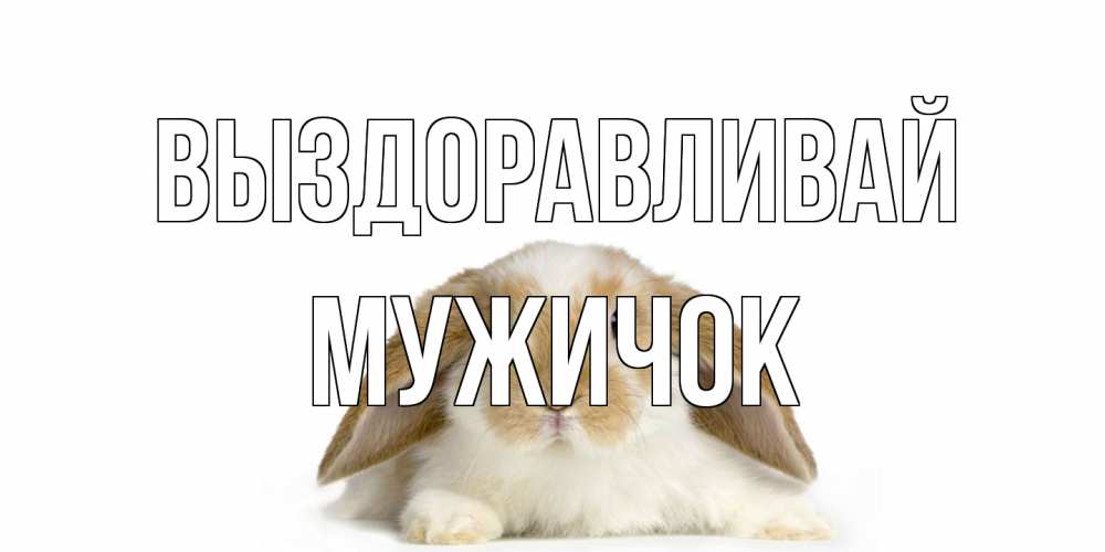 Открытка на каждый день с именем, Мужичок Выздоравливай вислоухий кролик белого и коричневого цвета Прикольная открытка с пожеланием онлайн скачать бесплатно 