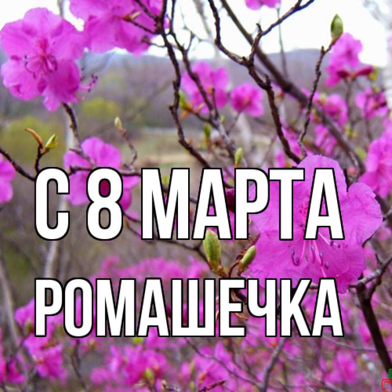 Картинка C 8 МАРТА, Ромашечка