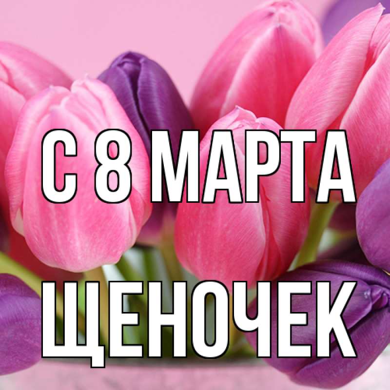 Картинка C 8 МАРТА, Щеночек