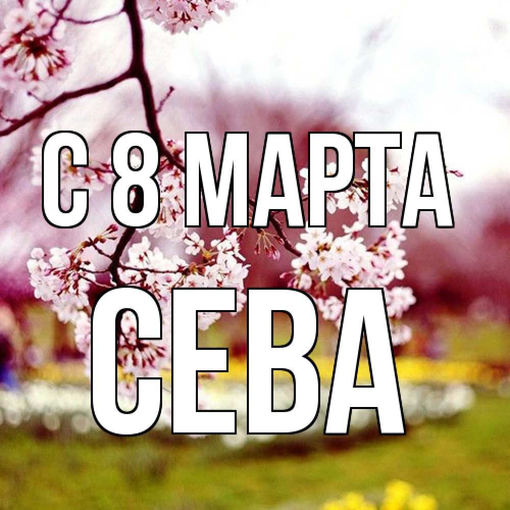 Открытка на каждый день с именем, Сева C 8 МАРТА яблоня Прикольная открытка с пожеланием онлайн скачать бесплатно 
