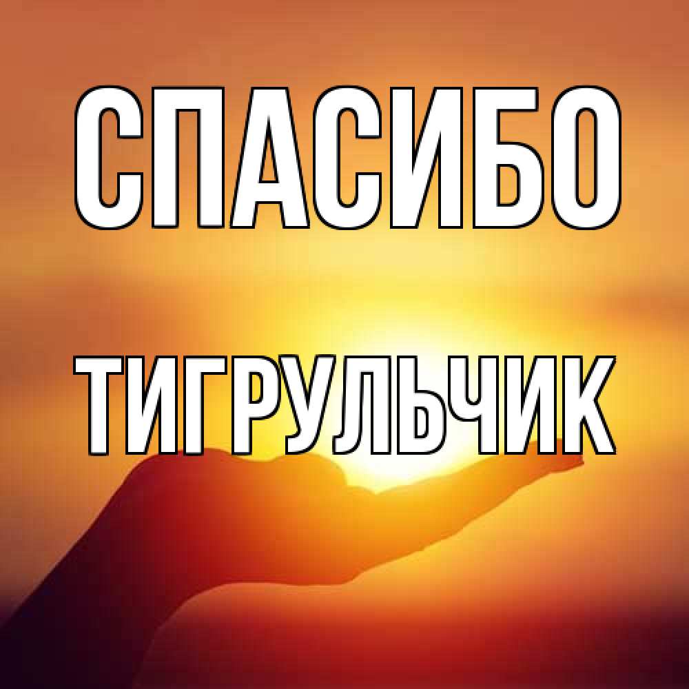 Открытка на каждый день с именем, Тигpульчик Спасибо закат Прикольная открытка с пожеланием онлайн скачать бесплатно 