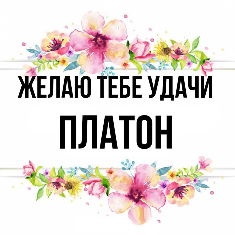 Картинка Желаю тебе удачи, Платон