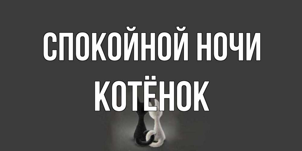 Открытка на каждый день с именем, Котёнок Спокойной ночи коты Прикольная открытка с пожеланием онлайн скачать бесплатно 